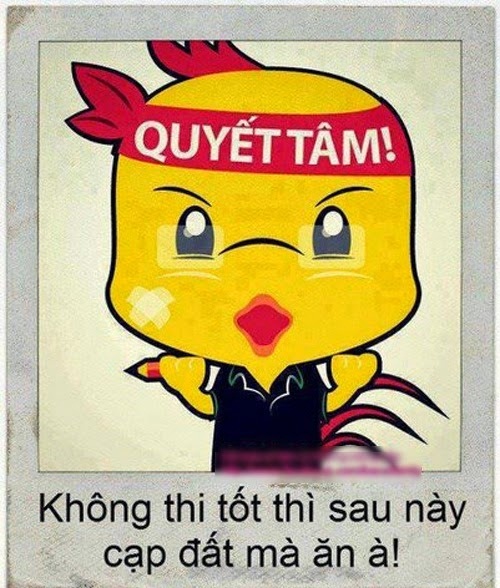 Ảnh đẹp và hài hước về quyết tâm ôn thi