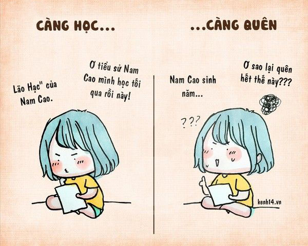 Ảnh đẹp và hài hước về quyết tâm ôn thi