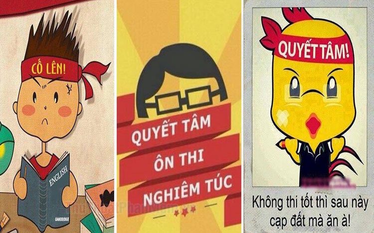 Ảnh đẹp và hài hước về quyết tâm ôn thi