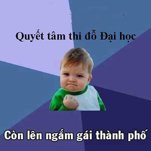 Ảnh đẹp và hài hước về quyết tâm ôn thi