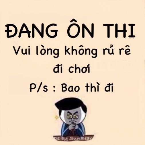 Ảnh đẹp và hài hước về quyết tâm ôn thi