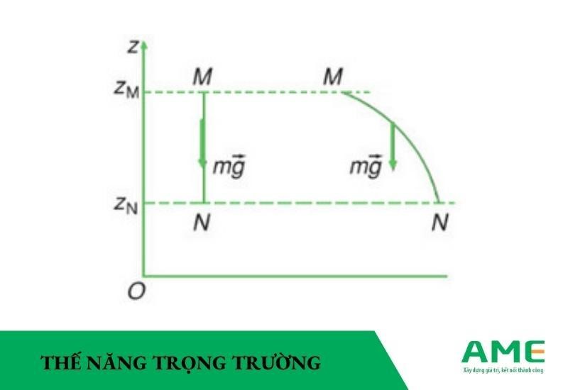 Thế năng là gì? Ký hiệu, đơn vị & các loại thế năng CƠ BẢN