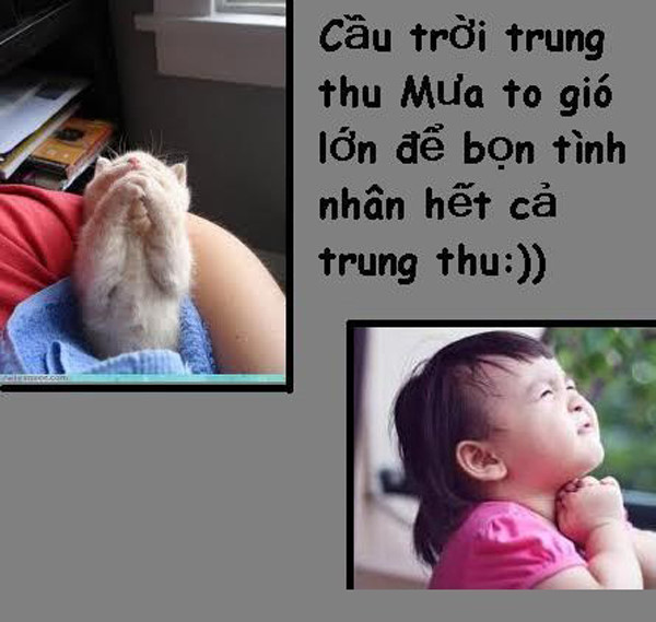 Hình ảnh FA, độc thân đẹp và hài hước nhất