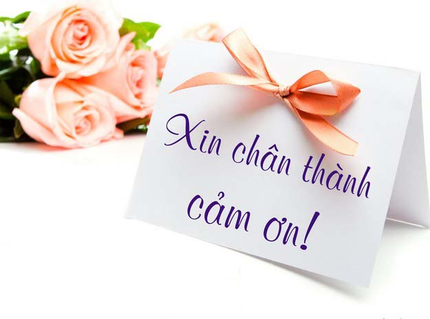 Bộ sưu tập hình ảnh cảm ơn tuyệt vời