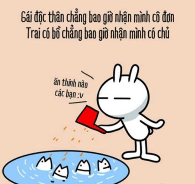 Hình ảnh FA, độc thân đẹp và hài hước nhất