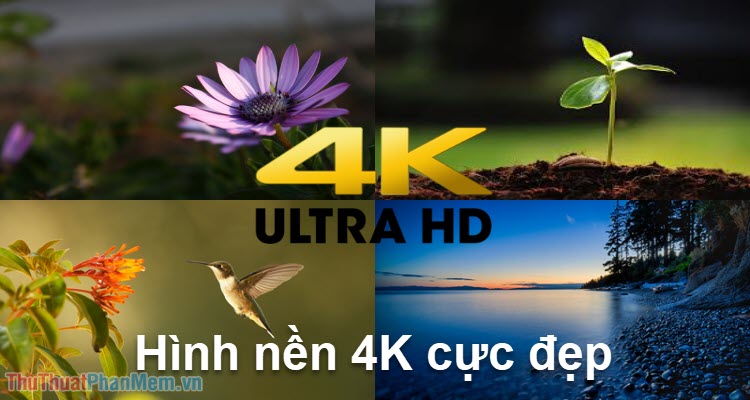 Bộ sưu tập Hình nền 4K đẹp mắt