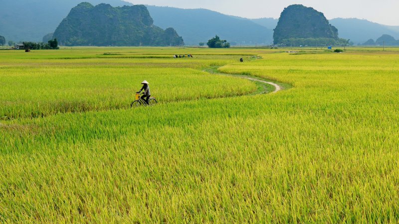 Hình nền đẹp yên bình - Bức tranh làng quê tĩnh lặng