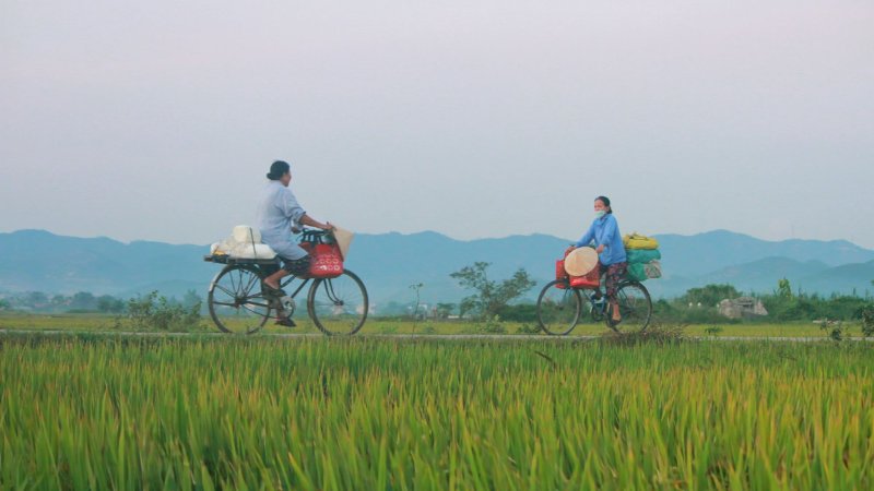 Hình nền đẹp yên bình - Bức tranh làng quê tĩnh lặng