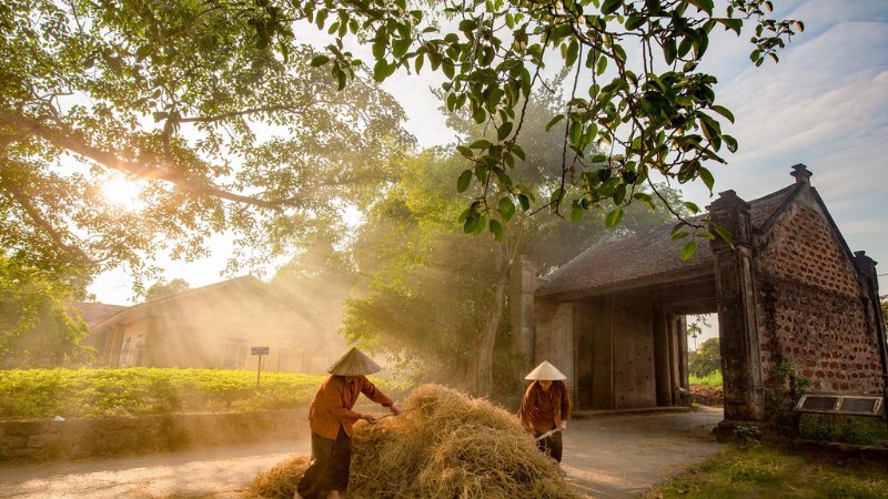 Hình nền đẹp yên bình - Bức tranh làng quê tĩnh lặng