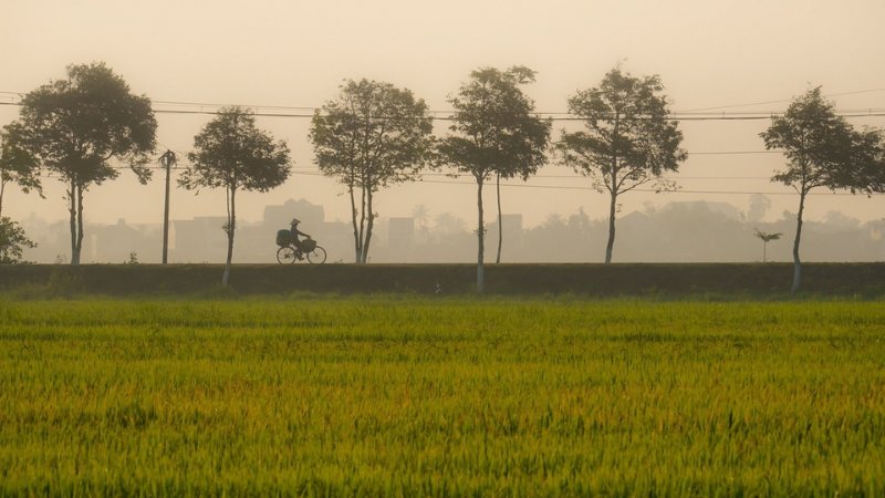 Hình nền đẹp yên bình - Bức tranh làng quê tĩnh lặng