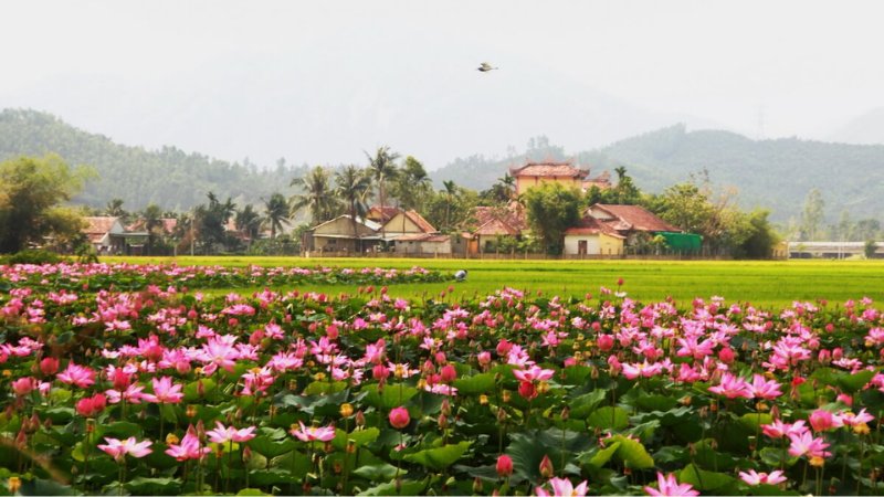 Hình nền đẹp yên bình - Bức tranh làng quê tĩnh lặng