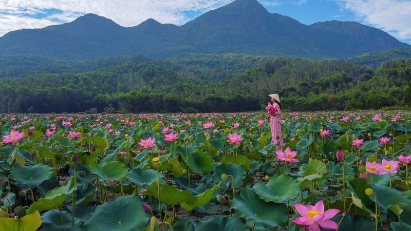 Hình nền đẹp yên bình - Bức tranh làng quê tĩnh lặng