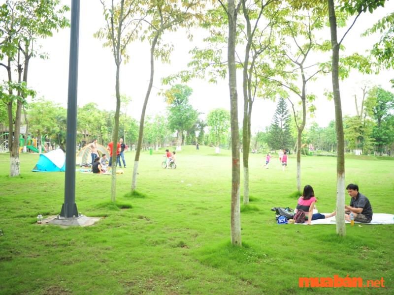 Ecopark Hưng Yên có gì chơi? Tất tần tật cẩm nang dã ngoại tại Ecopark