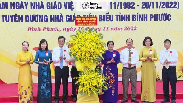 Khám Phá Bộ Sưu Tập Những Hình Ảnh Đẹp Về Thầy Cô Giáo 20/11