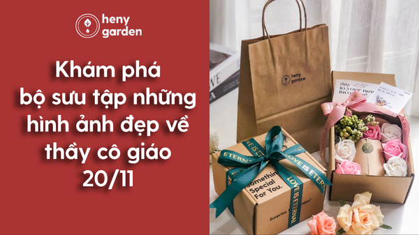 Khám Phá Bộ Sưu Tập Những Hình Ảnh Đẹp Về Thầy Cô Giáo 20/11