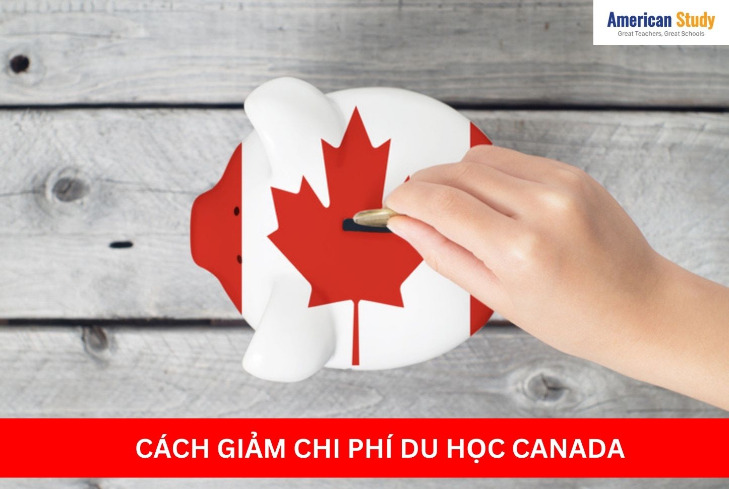 Chi phí du học Canada 2024: 1 năm cần hết bao nhiêu tiền?