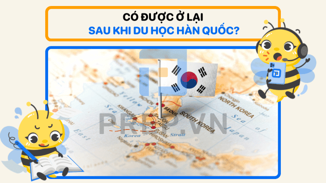 Du học Hàn Quốc xong có được ở lại không? Làm như thế nào?