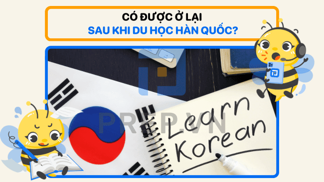 Du học Hàn Quốc xong có được ở lại không? Làm như thế nào?