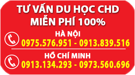 DANH SÁCH 10 NHÓM NGÀNH HỌC Ở ĐỨC - Ngành Học