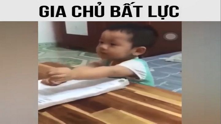 HÓT HÒN HỌT hình ảnh meme bất lực hài hước cho dân cào phím