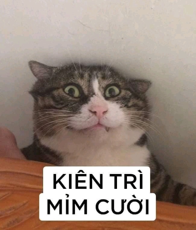 HÓT HÒN HỌT hình ảnh meme bất lực hài hước cho dân cào phím