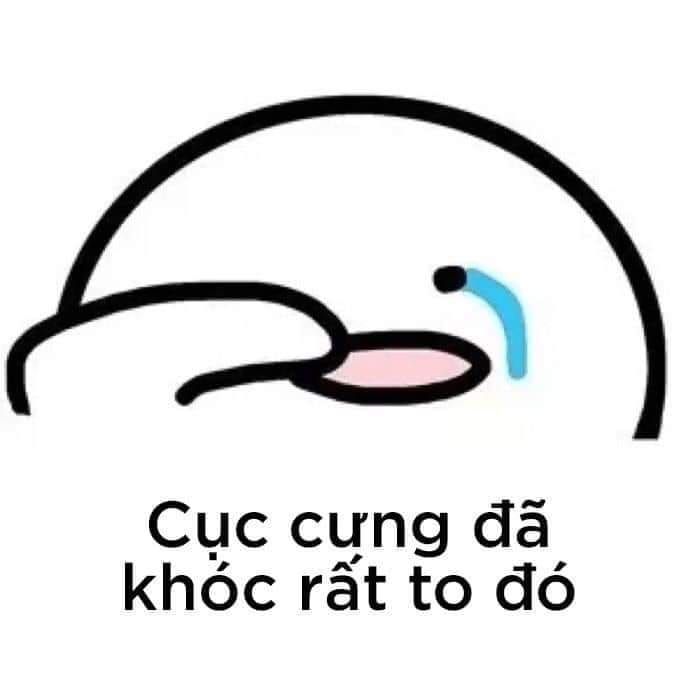 HÓT HÒN HỌT hình ảnh meme bất lực hài hước cho dân cào phím