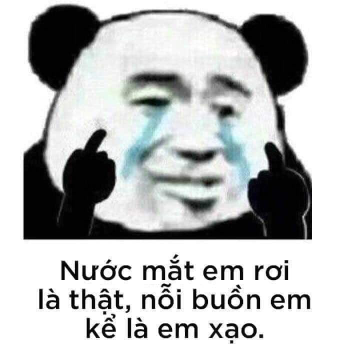 HÓT HÒN HỌT hình ảnh meme bất lực hài hước cho dân cào phím