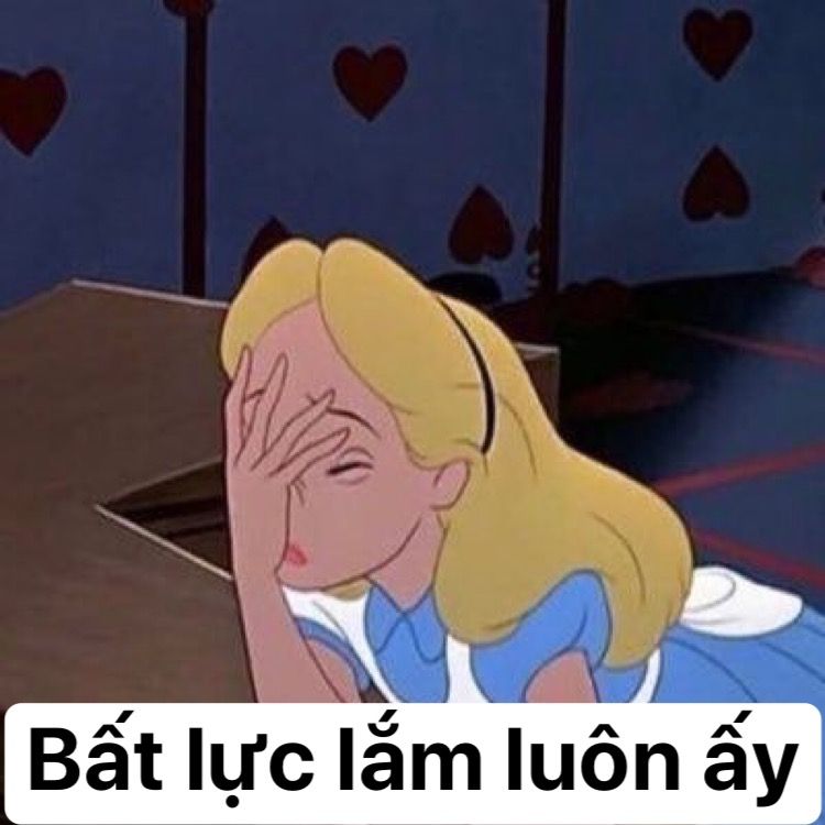 HÓT HÒN HỌT hình ảnh meme bất lực hài hước cho dân cào phím