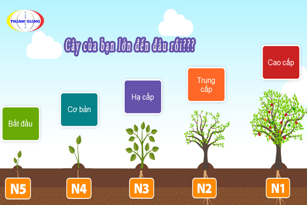 Du học Nhật Bản bao nhiêu năm và thời gian tối đa cho phép bao lâu?