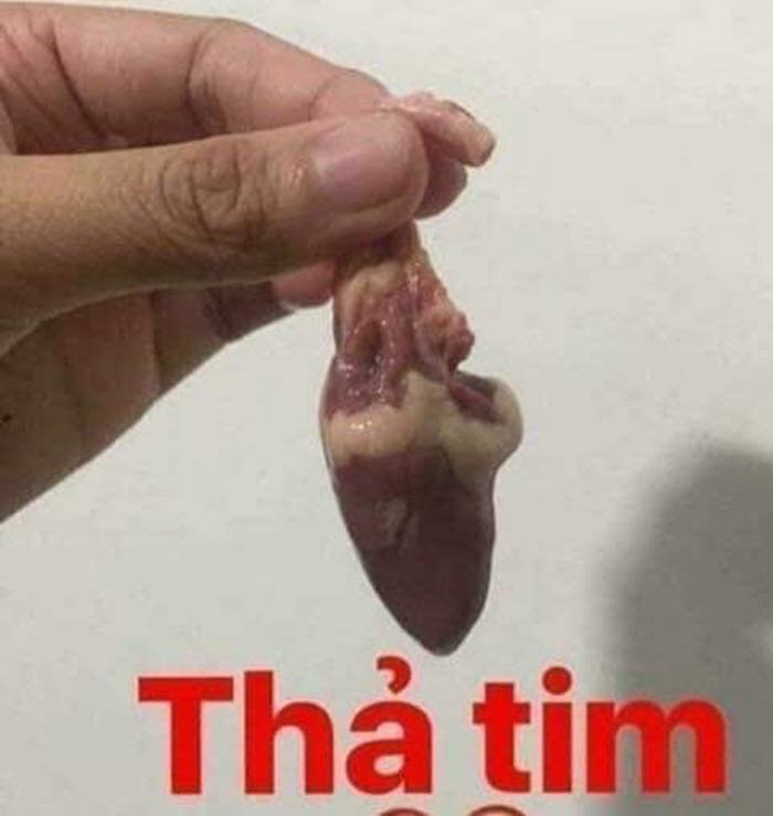 Bộ sưu tập hình ảnh thả tim vui nhộn, dễ thương