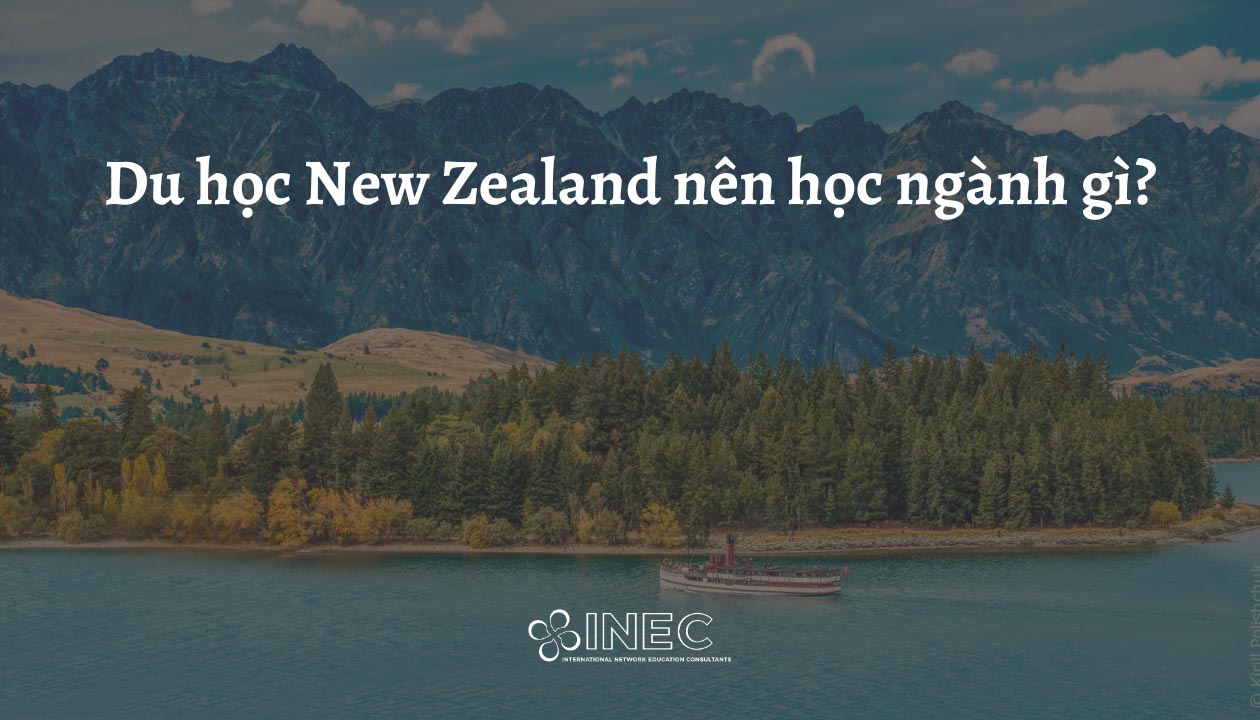 Du học New Zealand nên học ngành gì? Gợi ý 9 ngành dễ xin việc