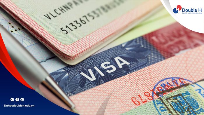 Visa D4-1 là gì? Điều kiện, thủ tục, quy trình mới nhất 2024