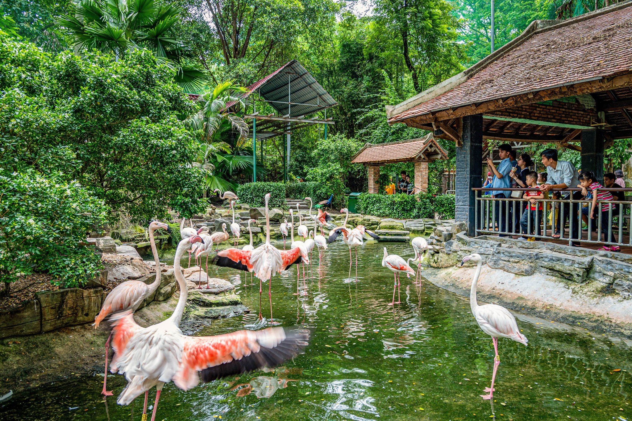 Du lịch Hồ Chí Minh: Cẩm nang từ A đến Z