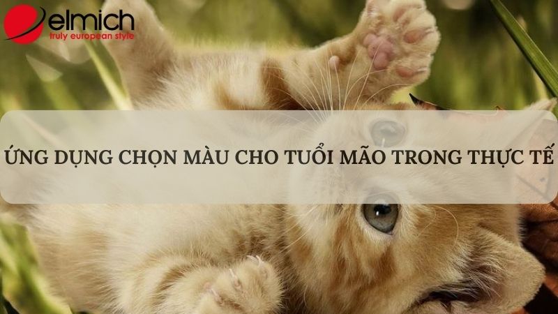 Bật mí tuổi Mão hợp màu gì để làm kéo may mắn và nêu bật cá tính