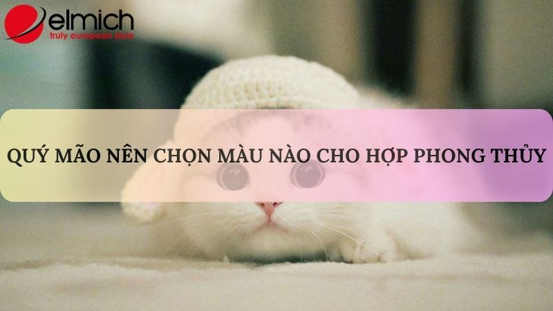 Bật mí tuổi Mão hợp màu gì để làm kéo may mắn và nêu bật cá tính