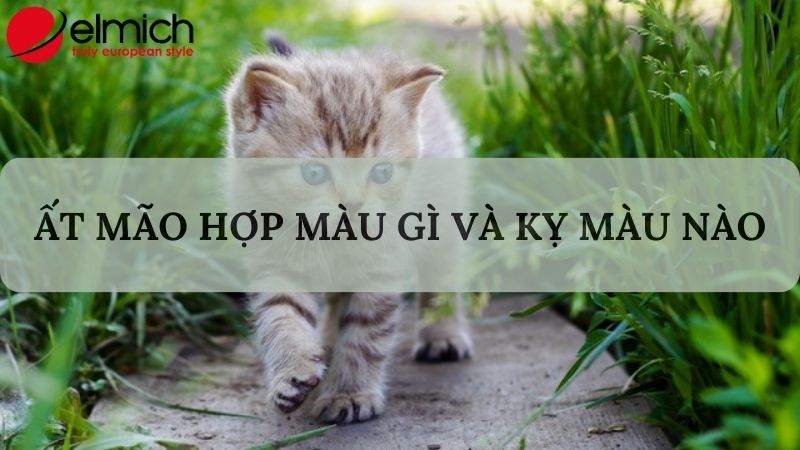 Bật mí tuổi Mão hợp màu gì để làm kéo may mắn và nêu bật cá tính