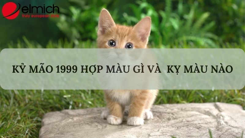 Bật mí tuổi Mão hợp màu gì để làm kéo may mắn và nêu bật cá tính