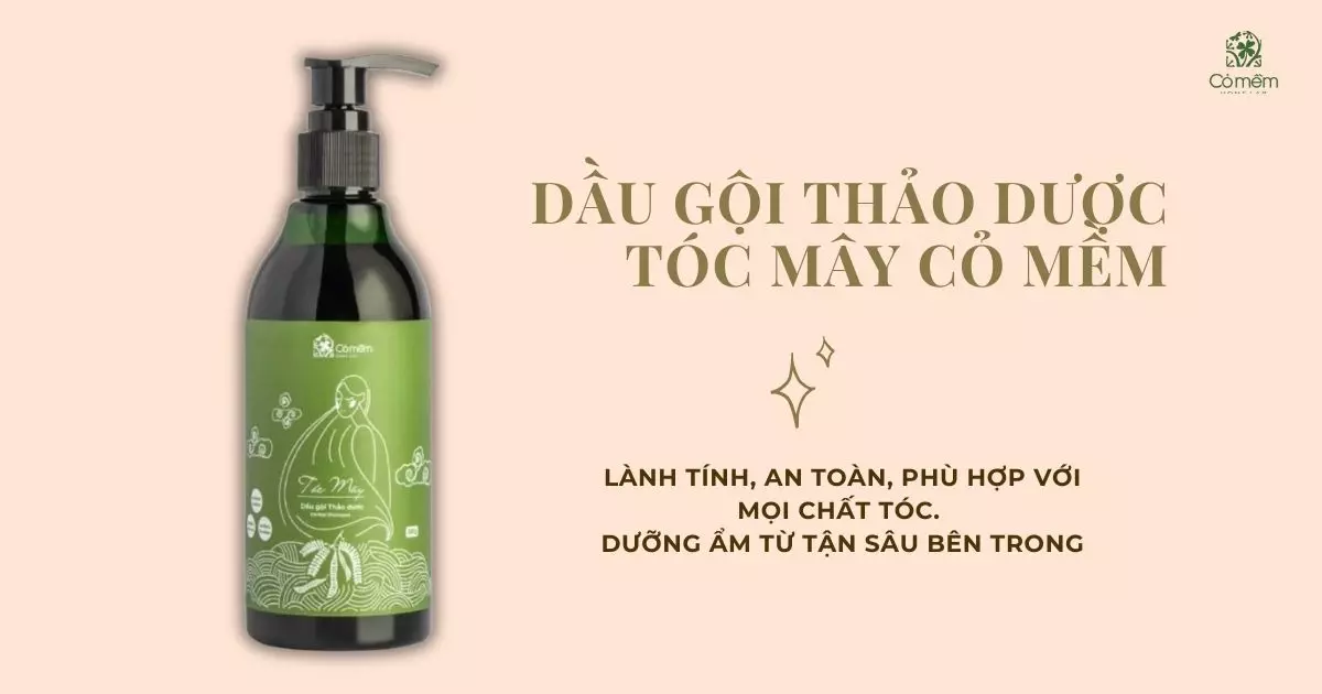 Top 15+ kiểu tóc nữ cá tính gây ấn tượng từ cái nhìn đầu tiên