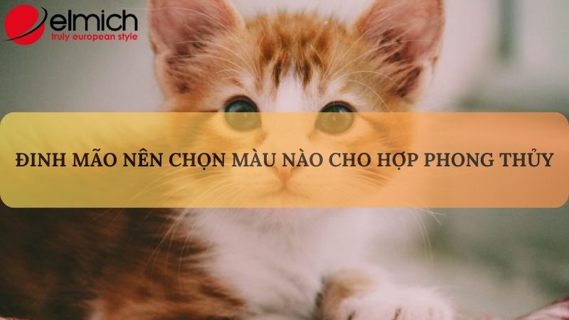 Bật mí tuổi Mão hợp màu gì để làm kéo may mắn và nêu bật cá tính