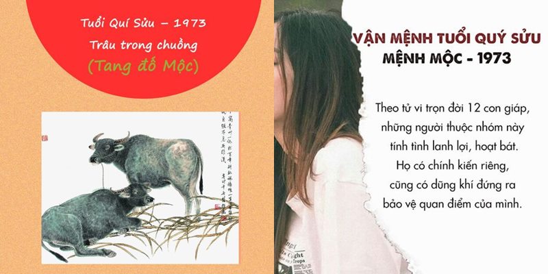 Tuổi Sửu hợp với màu gì và kỵ màu sắc nào nhất phong thủy?