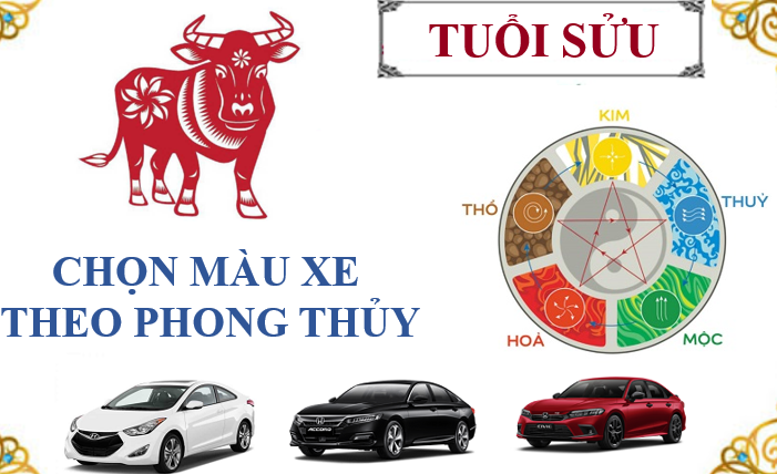 Tuổi Sửu hợp với màu gì và kỵ màu sắc nào nhất phong thủy?