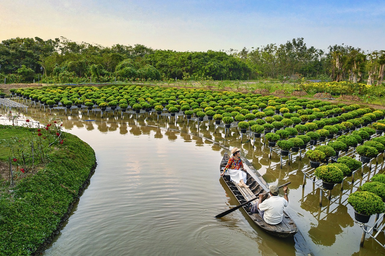 Những hình ảnh quê hương đất nước