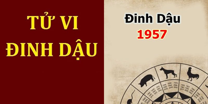 Tuổi dậu hợp màu gì? Chọn màu hợp thu hút tài lộc, may mắn