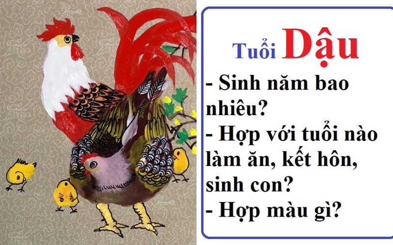 Tuổi dậu hợp màu gì? Chọn màu hợp thu hút tài lộc, may mắn