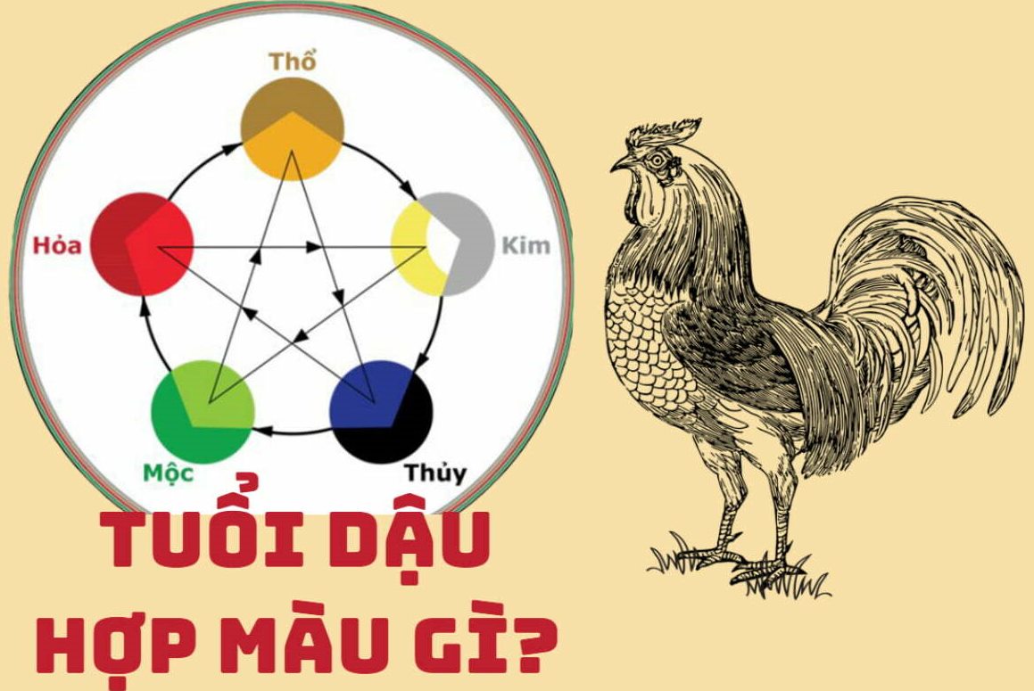 Tuổi dậu hợp màu gì? Chọn màu hợp thu hút tài lộc, may mắn