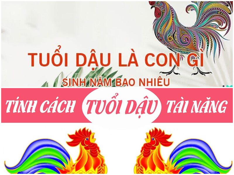 Tuổi dậu hợp màu gì? Chọn màu hợp thu hút tài lộc, may mắn