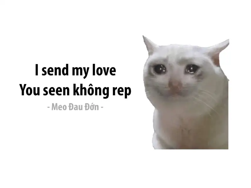 101 Meme Buồn Cute, Vừa Hài Vừa Thương