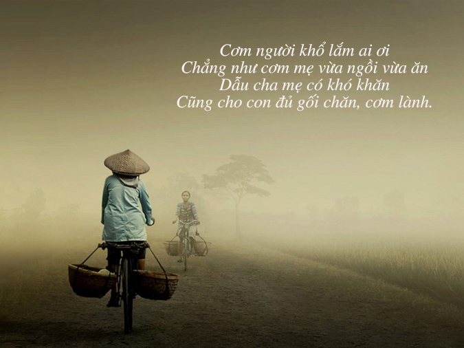 Top câu nói hay về cha mẹ ý nghĩa chạm đến trái tim