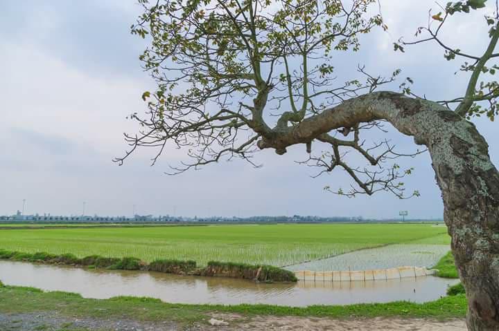 Những hình ảnh bình yên đẹp nhất