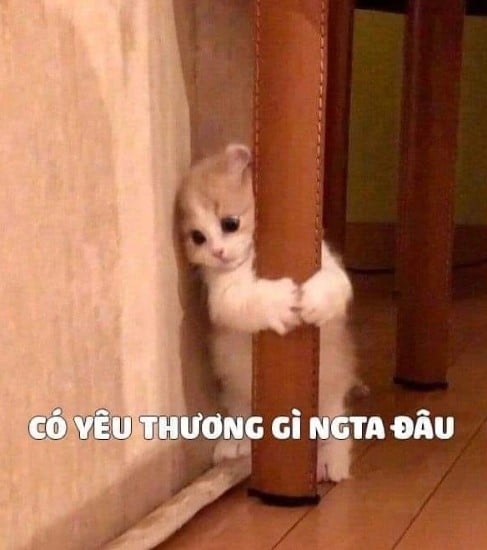 Bộ sưu tập Meme dỗi hài hước, dễ thương và đáng yêu